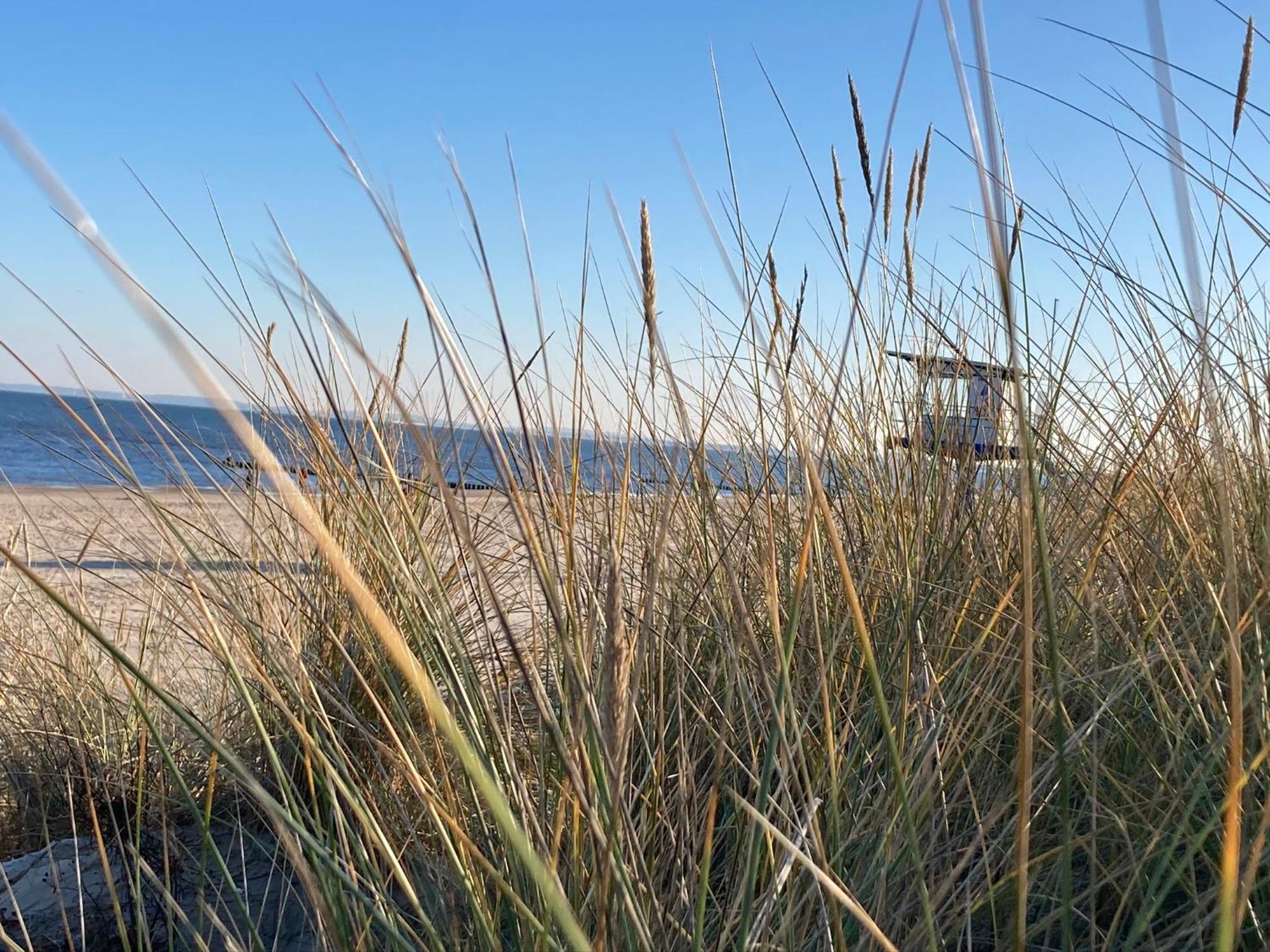 Ferienwohnungen Ostsee & Mehr Heringsdorf  Exteriér fotografie